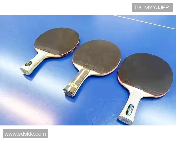 西安乒乓球队战术解析与发展策略探讨之聚焦乒乓球