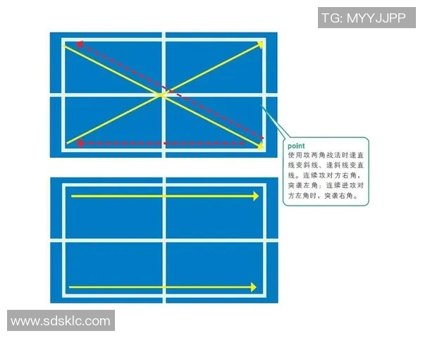 深入分析成都乒乓球队的节奏打法与战术特点