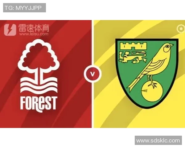 武汉排球队积分榜领先以79分稳居第一位置