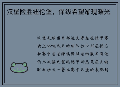 汉堡险胜纽伦堡，保级希望渐现曙光